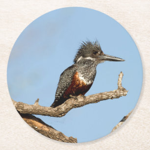 Dessous-de-verre Rond En Papier Giant Kingfisher