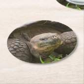 Dessous-de-verre Rond En Papier Giant turtle (Incliné)