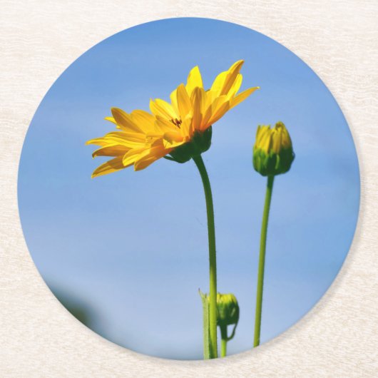 Dessous-de-verre Rond En Papier Hélénium de marguerite jaune (Devant)