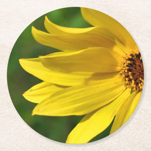 Dessous-de-verre Rond En Papier Hélénium de marguerite jaune (Devant)