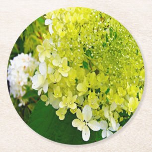 Dessous-de-verre Rond En Papier Hydrangea Limelight Vert Chartreuse Élégant