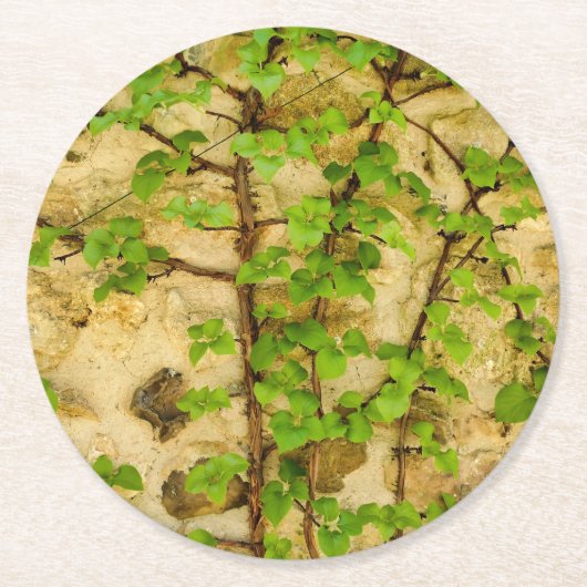 Dessous-de-verre Rond En Papier Hydrangea petiolaris (Devant)