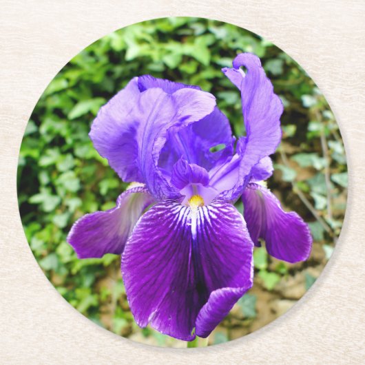 Dessous-de-verre Rond En Papier Iris à poils (Devant)