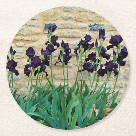 Dessous-de-verre Rond En Papier Iris à poils (Devant)