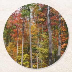 Dessous-de-verre Rond En Papier L'automne dans la forêt Photographie d'automne col