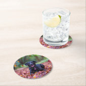 Dessous-de-verre Rond En Papier Le Labrador Noir Dans Les Feuilles D'Automne (En situation)