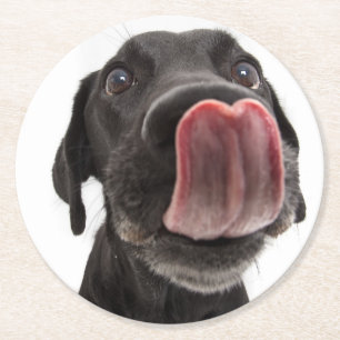 Dessous-de-verre Rond En Papier Le Labrador Noir se lâche le nez