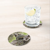 DESSOUS-DE-VERRE ROND EN PAPIER LEMUR À BORD (En situation)