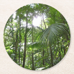 Dessous-de-verre Rond En Papier Lumière du soleil à travers la canopée de la forêt