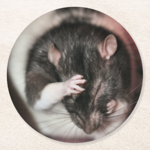 Dessous-de-verre Rond En Papier Mal de tête !