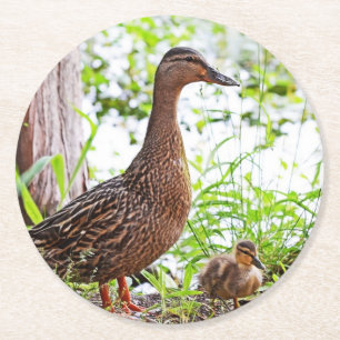 Dessous-de-verre Rond En Papier Mallard et Ducklings par Shirley Taylor