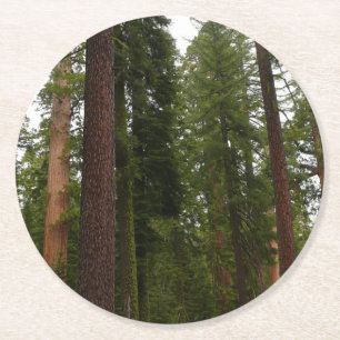 Dessous-de-verre Rond En Papier Mariposa Grove dans le parc national de Yosemite