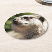 DESSOUS-DE-VERRE ROND EN PAPIER MEERKAT (Incliné)