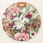 Dessous-de-verre Rond En Papier Orchidées, Orchidées Denusblumen par Ernst Haeckel<br><div class="desc">Orchidées,  Orchidées Denusblumen par Ernst Haeckel Paper Dessous de verre</div>