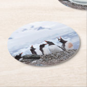 Dessous-de-verre Rond En Papier Pingouins en Antarctique (Incliné)