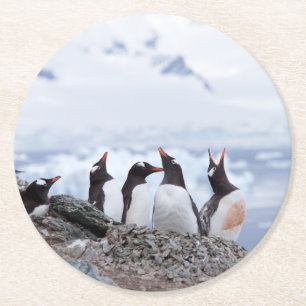Dessous-de-verre Rond En Papier Pingouins en Antarctique