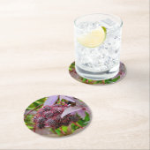 Dessous-de-verre Rond En Papier Ricinus communis (En situation)