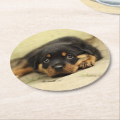 Dessous-de-verre Rond En Papier Rottweiler20150901 (Incliné)