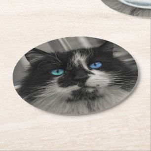 Dessous-de-verre Rond En Papier Tapis rond Azure Soul Black Cat yeux bleus