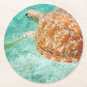 Dessous-de-verre Rond En Papier Tortue de mer