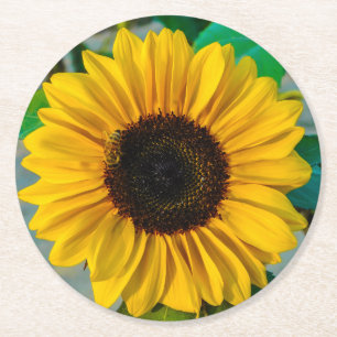Dessous-de-verre Rond En Papier Tournesol avec abeille