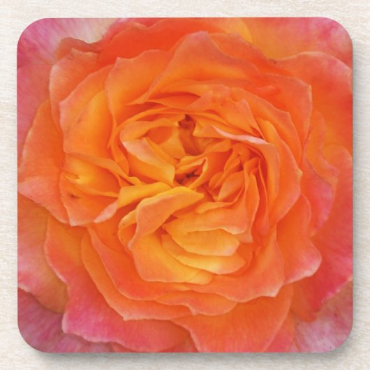 Dessous-de-verre Rose (Devant)