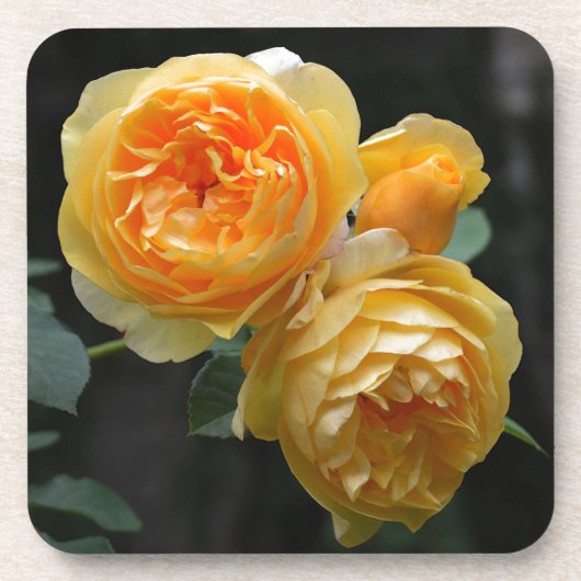 Dessous-de-verre Rose anglais jaune (Devant)