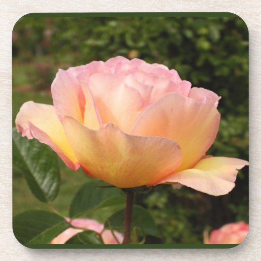 Dessous-de-verre Rose Apricot (Devant)