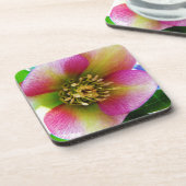 Dessous-de-verre Rose de carême rose, (Côté gauche)