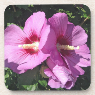 Dessous-de-verre Rose de Sharon