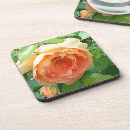 Dessous-de-verre Rose orange (Côté gauche)