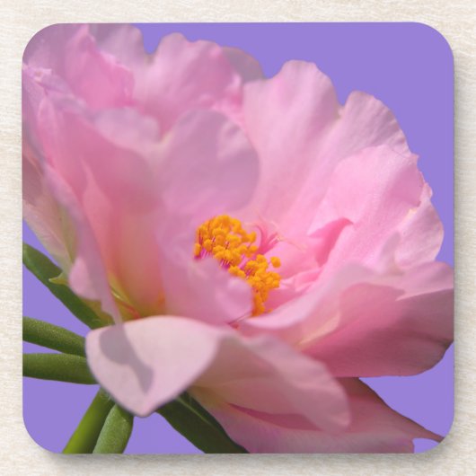 Dessous de verre rose Peony (Devant)