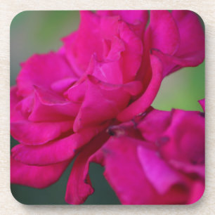 Dessous-de-verre Rose rose fleurie