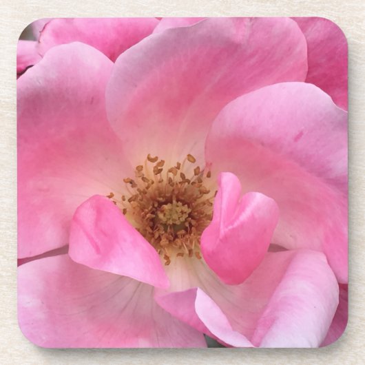Dessous-de-verre Rose rose rose (Devant)