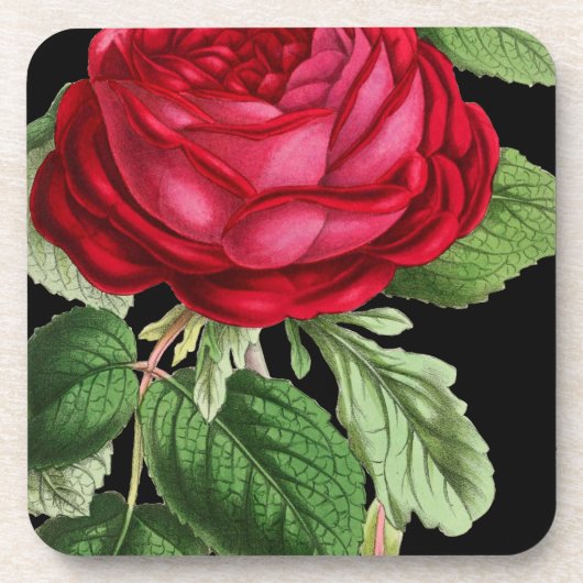 Dessous-de-verre Rose rouge (Devant)