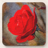 Dessous-de-verre Rose rouge (Devant)