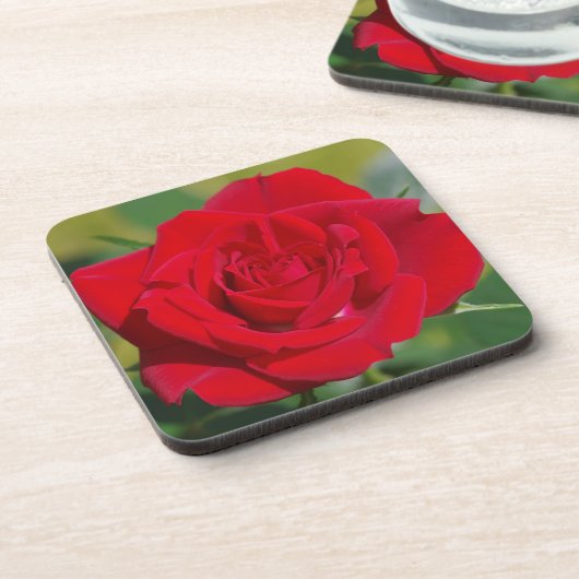 Dessous-de-verre Rose rouge beauté (Côté gauche)