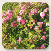Dessous-de-verre Roses roses en fleur (Devant)