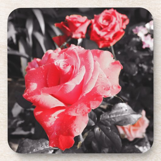 Dessous-de-verre Roses rouges romantiques (Devant)