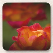 Dessous de verre Rosey Cork (Devant)