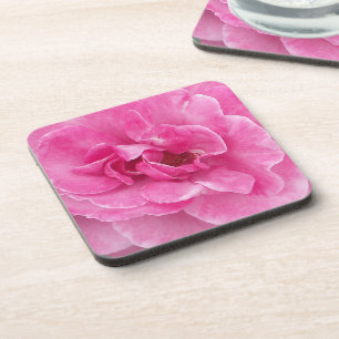 Dessous-de-verre Rosier de jardin rose