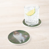 Dessous de verre Rough Sable Collie (Côté)