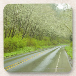 Dessous-de-verre Route à distance par la forêt