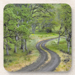 Dessous-de-verre Route de campagne à travers les arbres, Oregon
