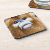 Dessous-de-verre Roxellana d'or masculin de Pygathrix de singe, (Côté gauche)