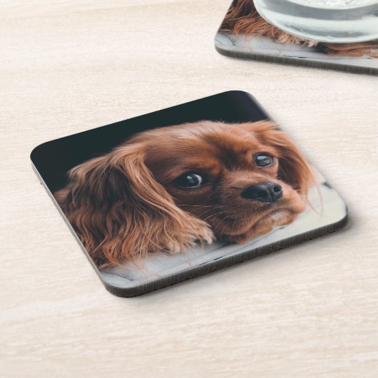 Dessous-de-verre Ruby Cavalier King Charles Spaniel (Côté gauche)