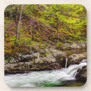 Dessous-de-verre Ruisseau forestier dans les Great Smoky Mountains