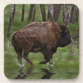 Dessous-de-verre Running Buffalo & Forest, Bison-lover's Design (Devant)