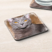 Dessous de verre RUSSES EN CHAT BLEU (Côté gauche)