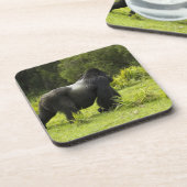 Dessous-de-verre Rwanda, Parc national des volcans (Côté gauche)